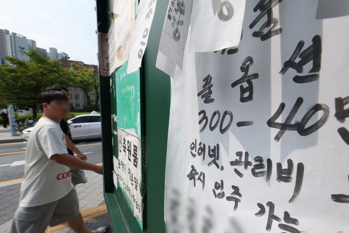 출처 : 뉴스 1