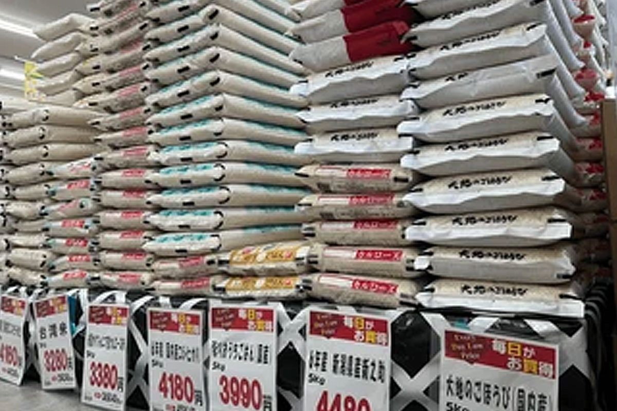 출처 : 셔터스톡