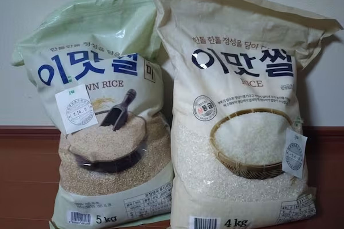 출처 : X