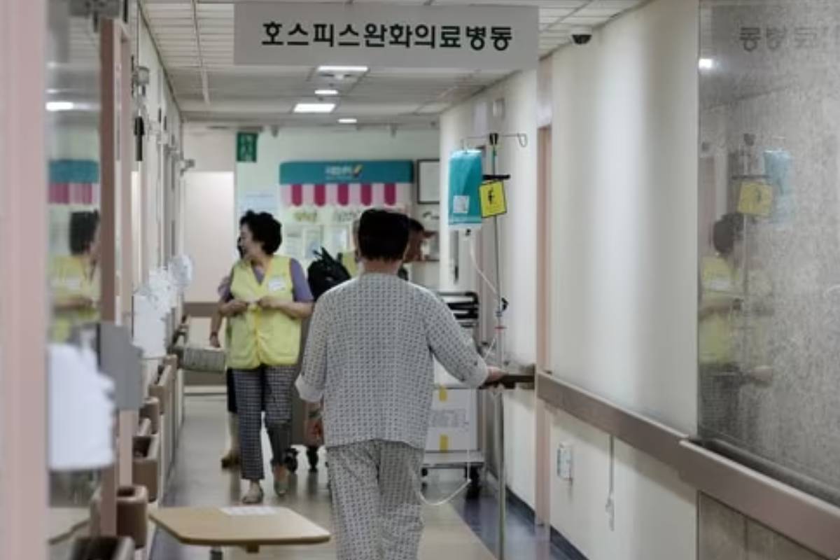 출처 : 뉴스 1