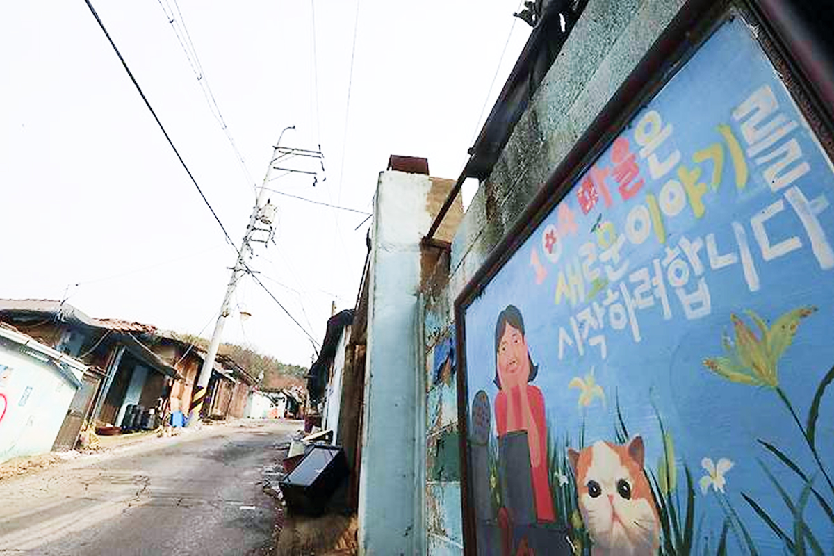 출처: 뉴스