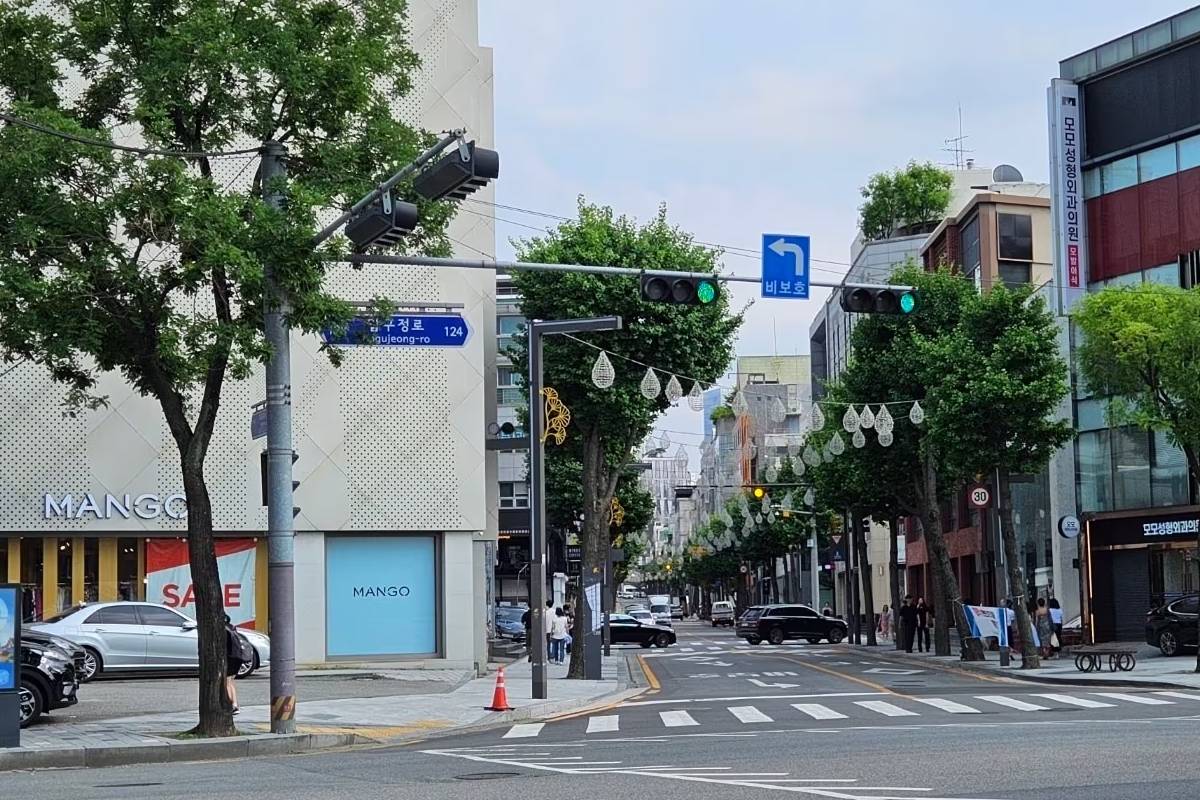 출처 : 뉴스 1
