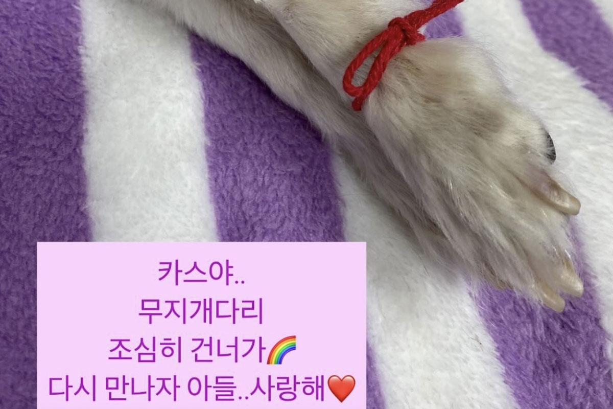 출처 : 김하영 인스타그램