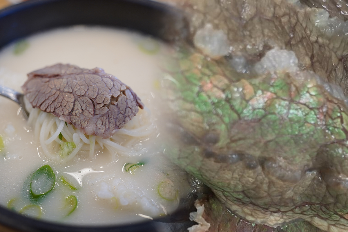 출처 : 셔터스톡 / 온라인 커뮤니티