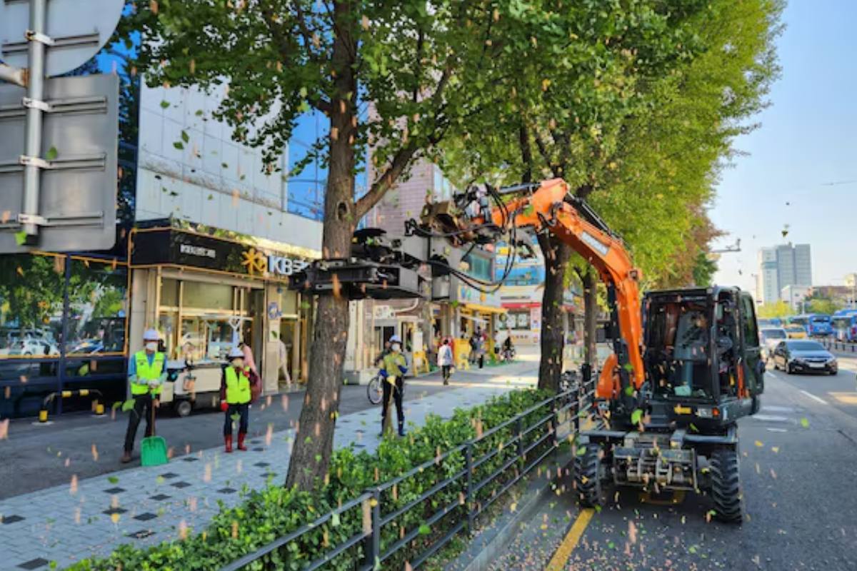 출처 : 서울시 제공