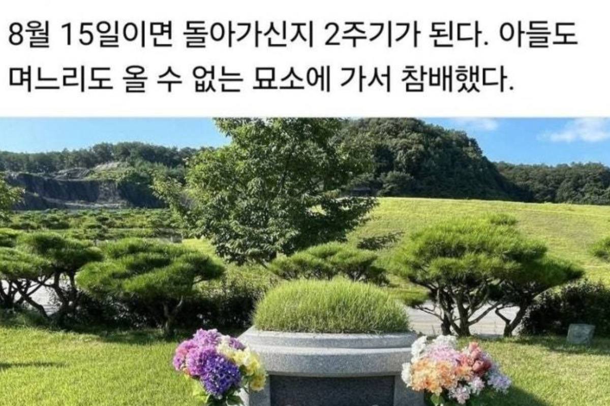 기사의 이해를 돕기 위한 사진/=이철우 교수 페이스북