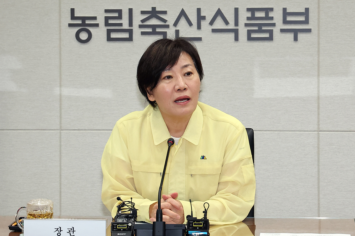 이미지 : 연합뉴스