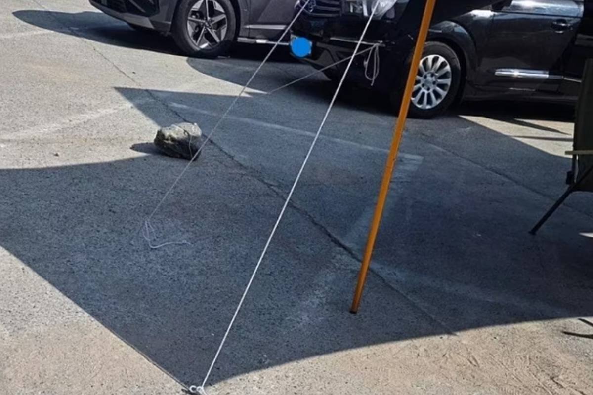 출처 : 보배드림 갈무리