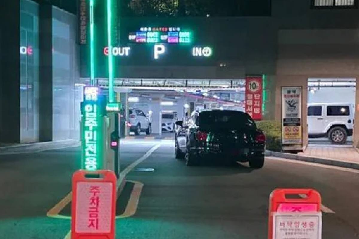 출처 : 온라인 커뮤니티