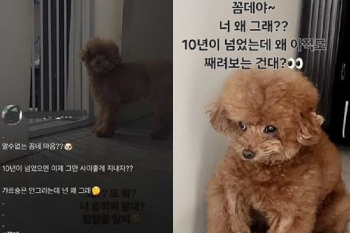 출처 : 이 씨 인스타그램