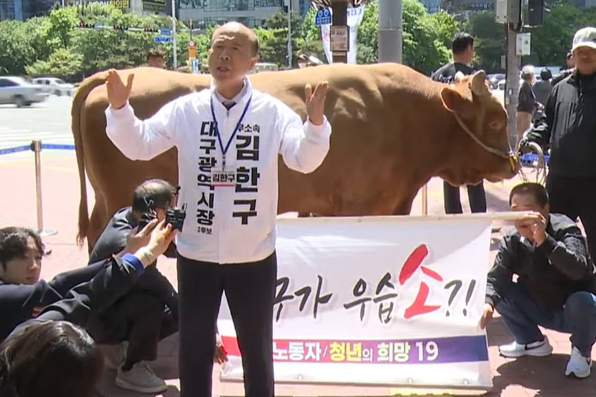 출처 : 유튜브 채널 '매일신문' 갈무리